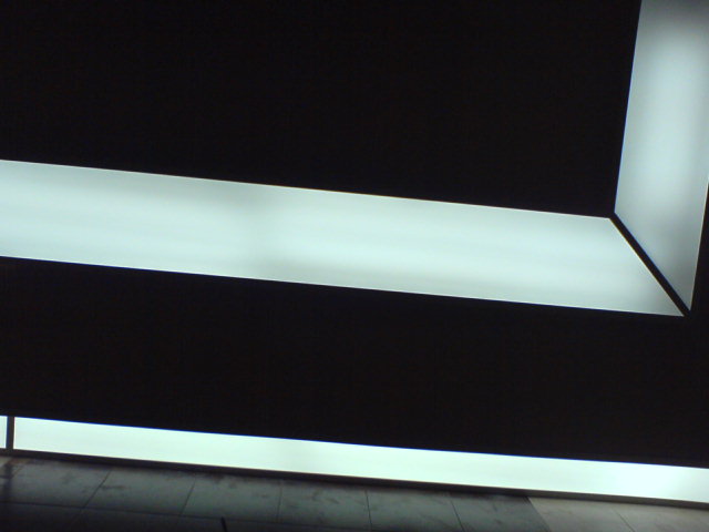 DSC00419.JPG