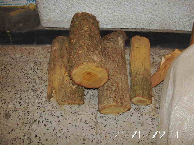 Picture 003.jpg
