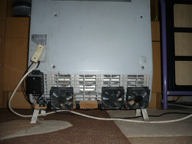 P1060010.JPG