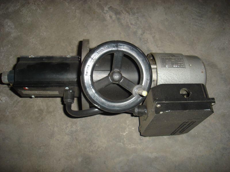 DSC03353 (Medium).jpg