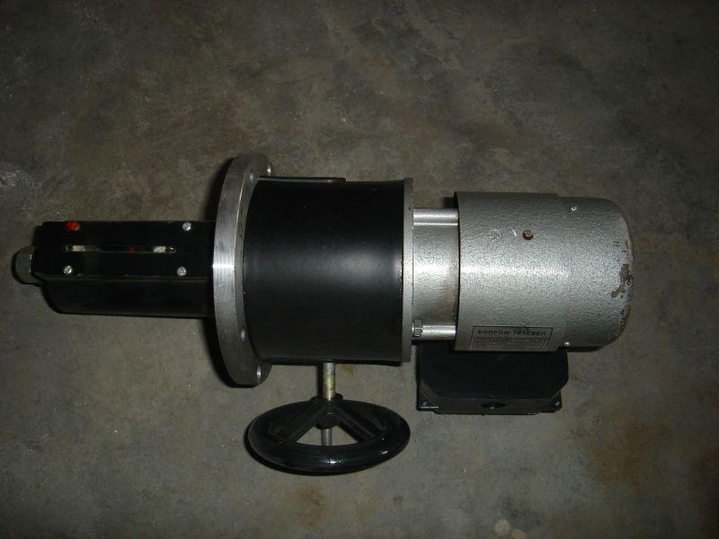 DSC03356 (Medium).jpg