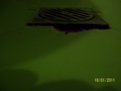 Picture 163.jpg