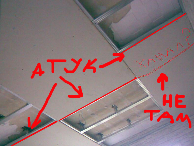 3_308_731.jpg