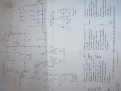 IMG_3710 - Copy.JPG