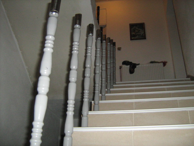 IMG_0591.JPG