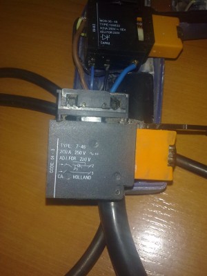 ABCD0009.JPG