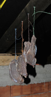DSC_9511-1.JPG
