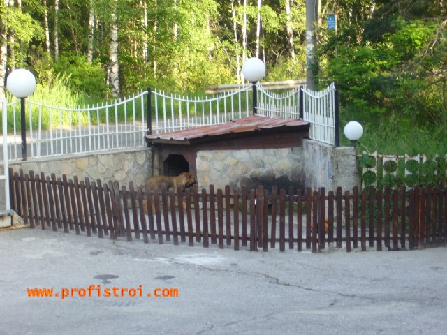 P1020017.jpg