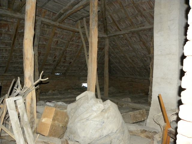 DSCN0093.jpg