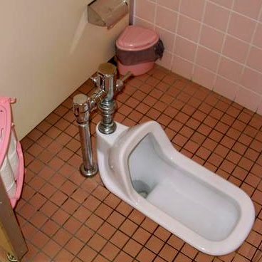 toilet-squat-2-medium.jpg