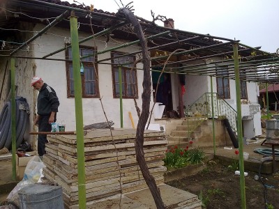 254.jpg