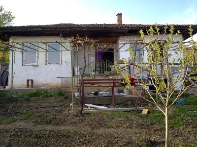 275.jpg