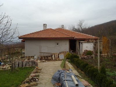 637.jpg