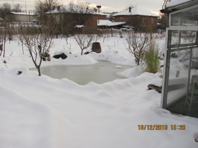 Picture 839-1.jpg