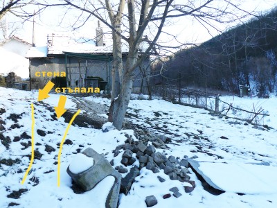 P1130337.jpg