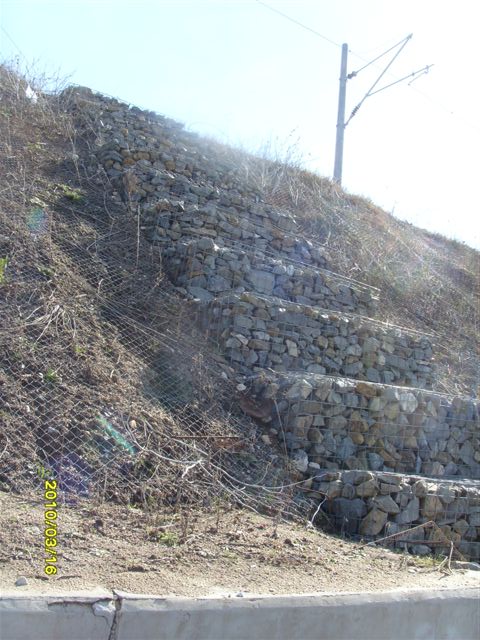 SI851046.JPG