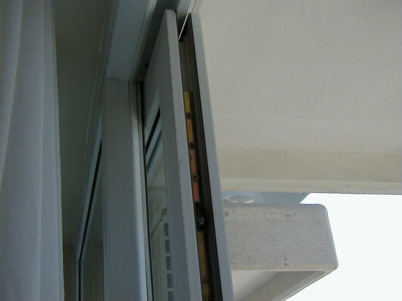 P1010063.jpg