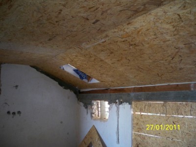 Picture 140.jpg