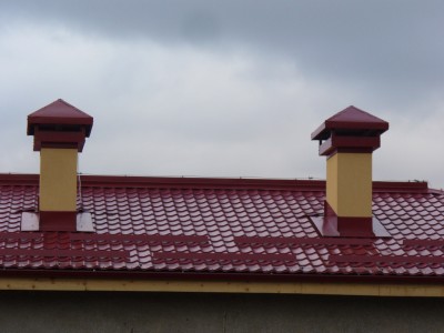 P1050772.jpg