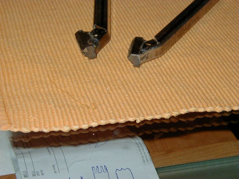 P1010023.jpg