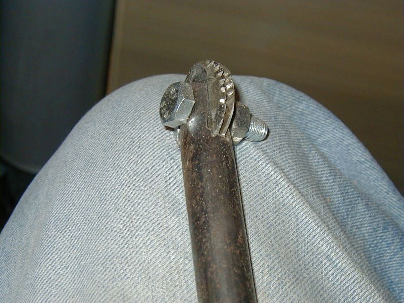 P1010026.jpg