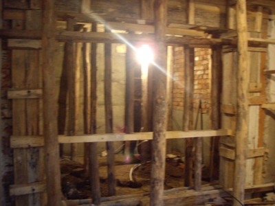 IMGP3383.JPG