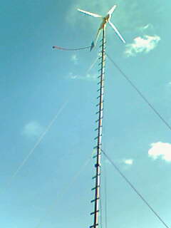IMG0659A.jpg