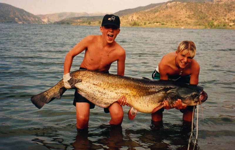 Fisch1.jpg