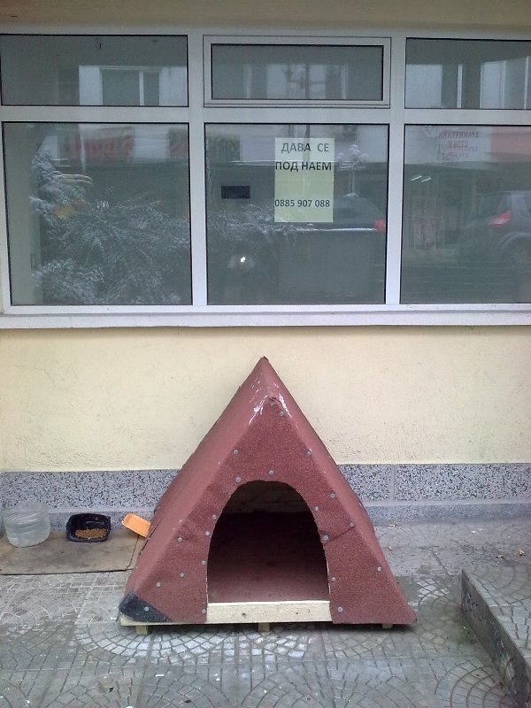 Rent a House.jpg