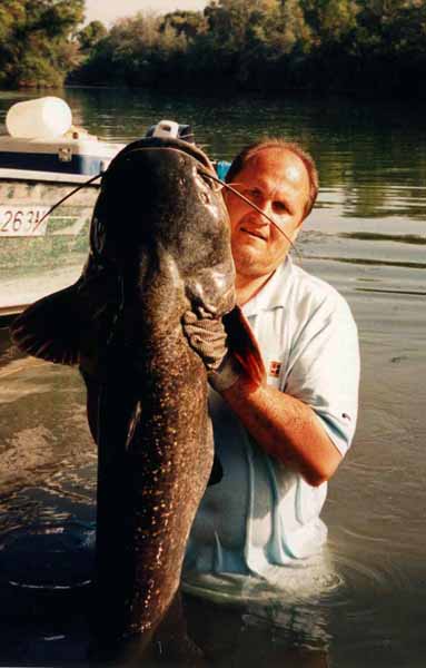 Fisch3.jpg