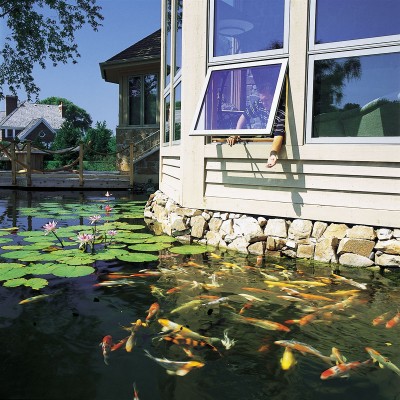pond47.jpg
