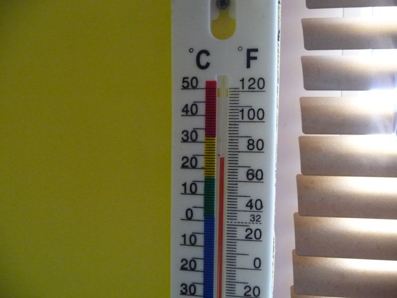 P1020315.jpg