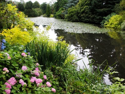 altamont_gardens_lake_600x.jpg