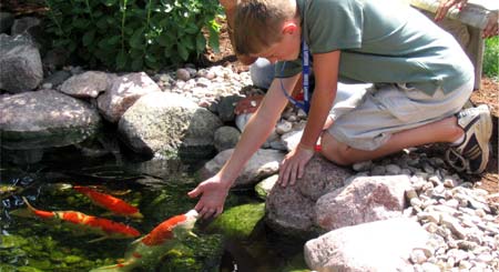 fish6.jpg