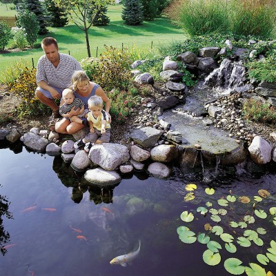 pond43.jpg