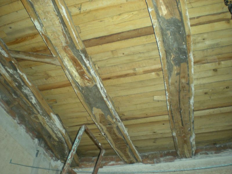 Picture 103.jpg