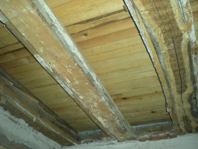 Picture 108.jpg