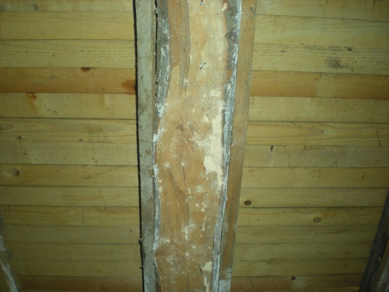 Picture 105.jpg
