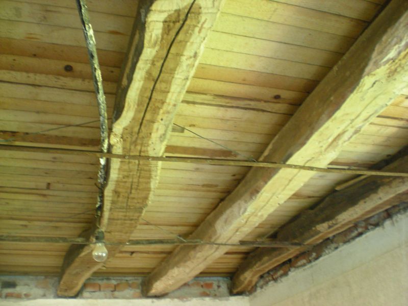 Picture 124.jpg