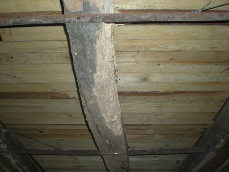 Picture 146.jpg