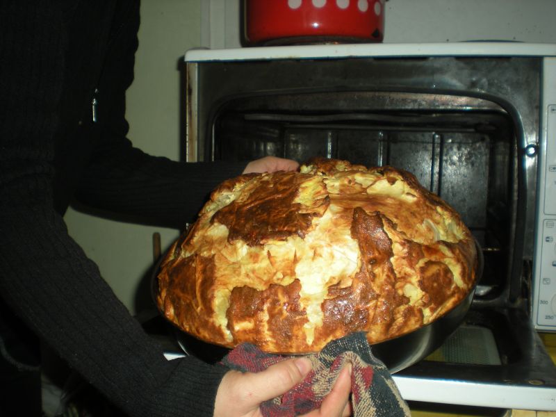 Picture 375.jpg