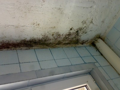 10032011312.jpg