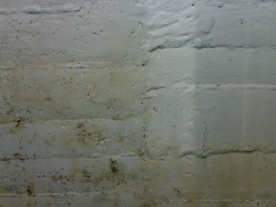 10032011314.jpg