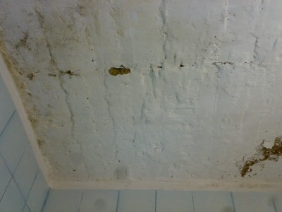10032011315.jpg