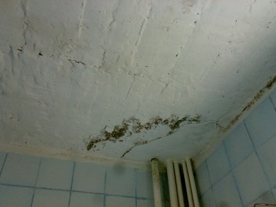 10032011316.jpg
