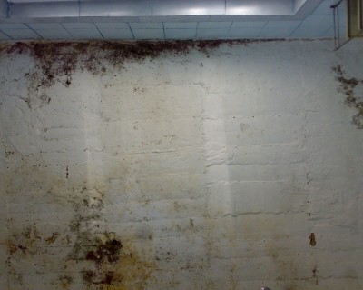 10032011317.jpg