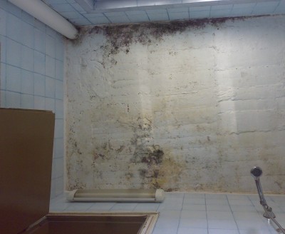 10032011319.jpg