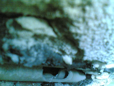 06032011(001).jpg