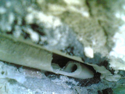 06032011(002).jpg