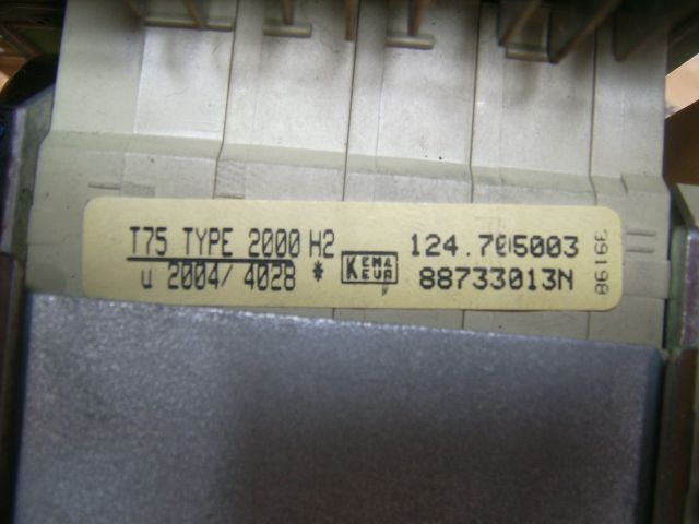 DSCI5505.jpg